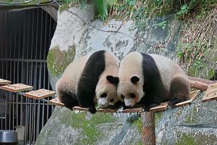 雷竞技竞猜正规吗